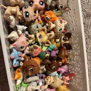 5pc Random Authentic Littlest Pet Shops